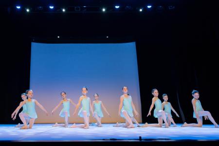 Območna revija plesnih skupin Finesa plesa 2023 (22)